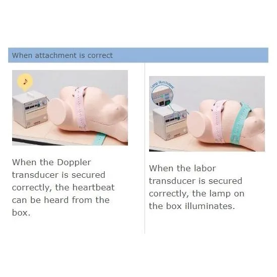 Cardiotocograph Simulator II