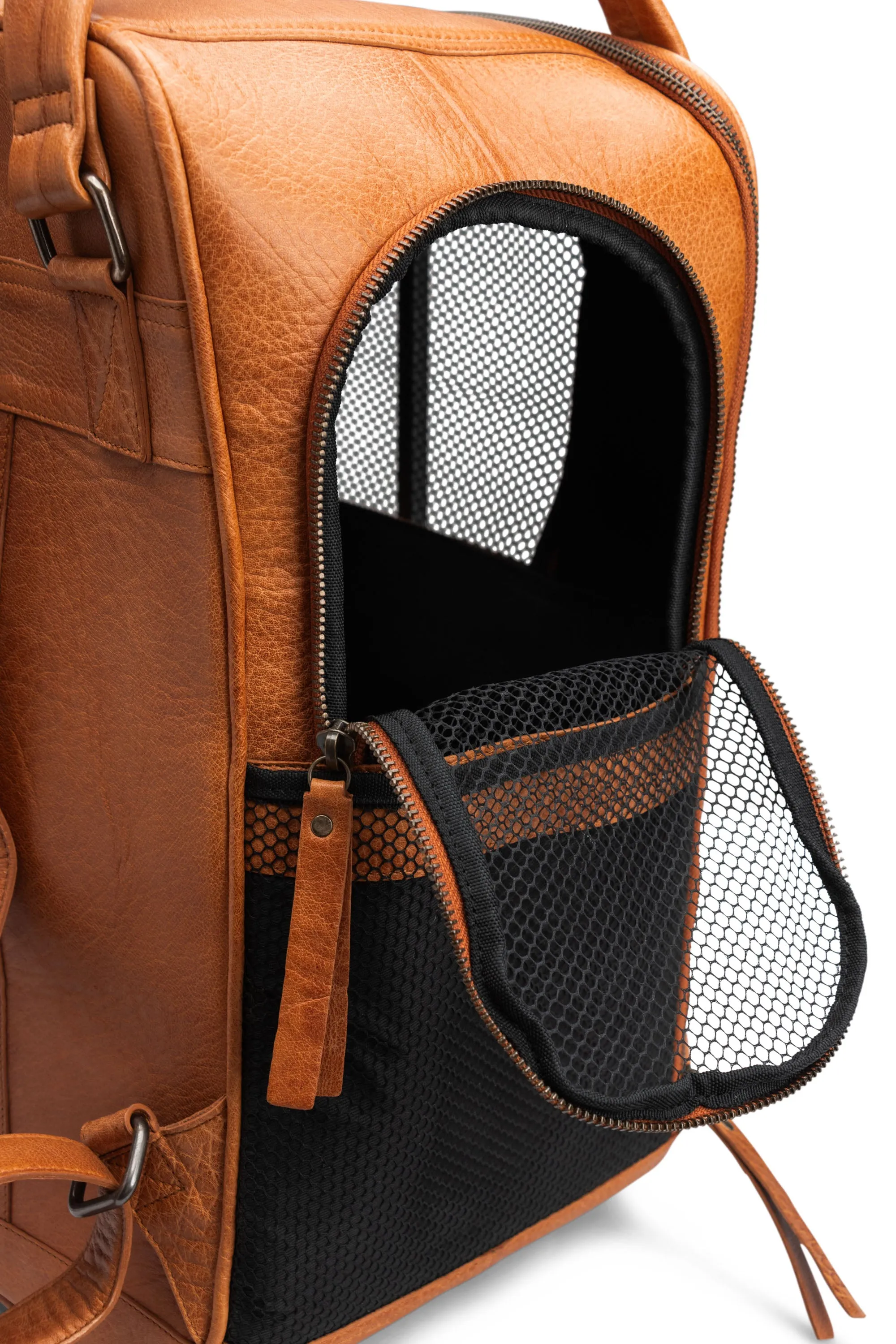 Cecily Transport Backpack