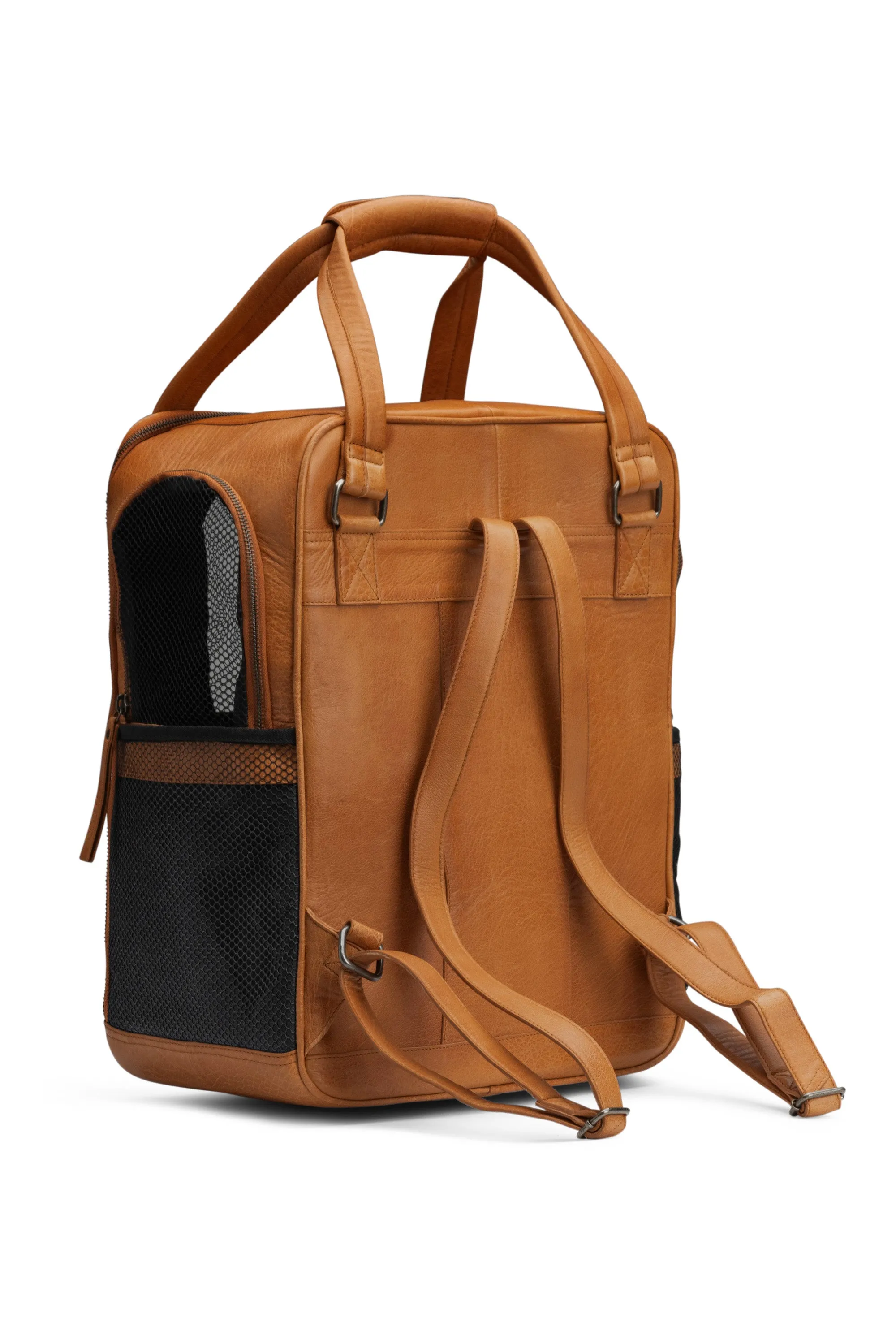 Cecily Transport Backpack