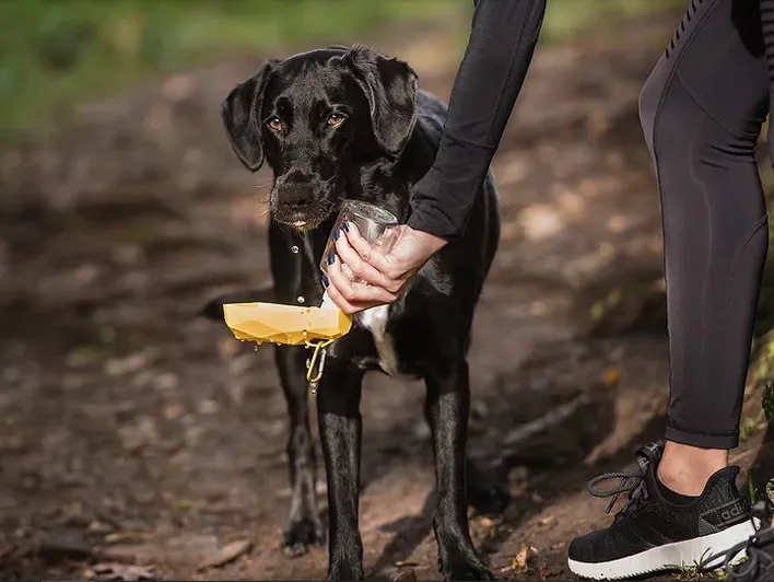 GF Pet Travel Water Bottle