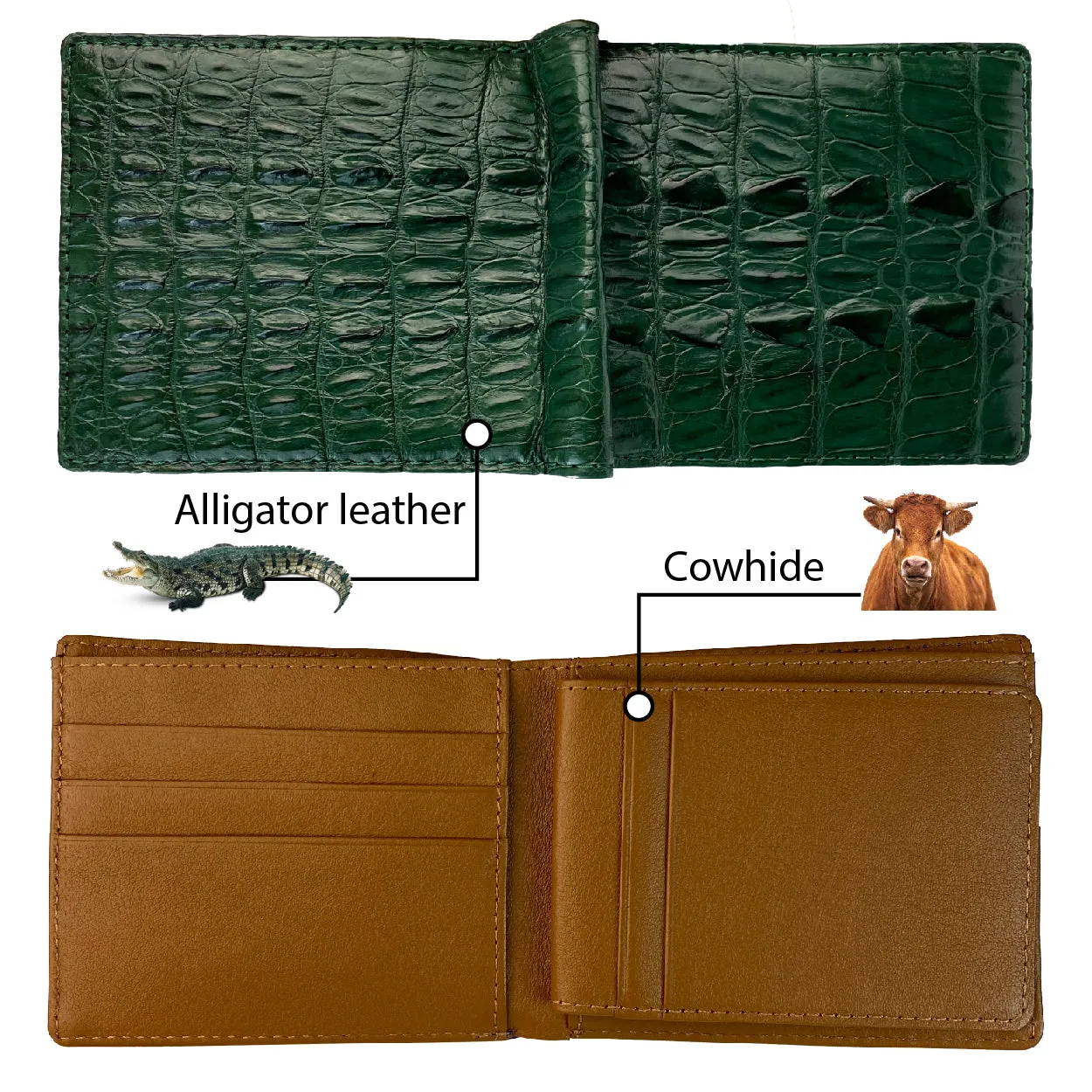 Green Alligator Tail Leather Bifold Wallet For Men | Handmade Crocodile Wallet RFID Blocking | VINAM-111