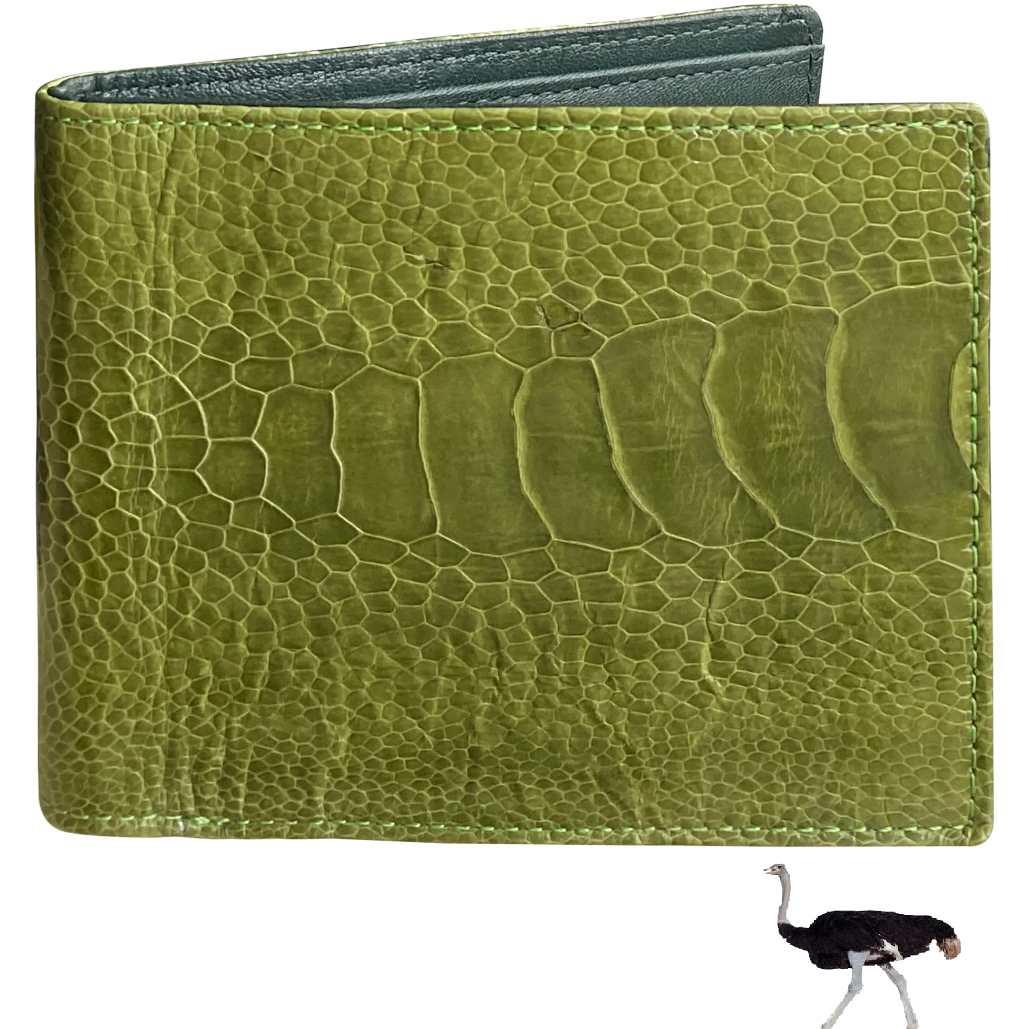 Handmade Green Ostrich Bifold Wallet for Men RFID Blocking | VINAM-97