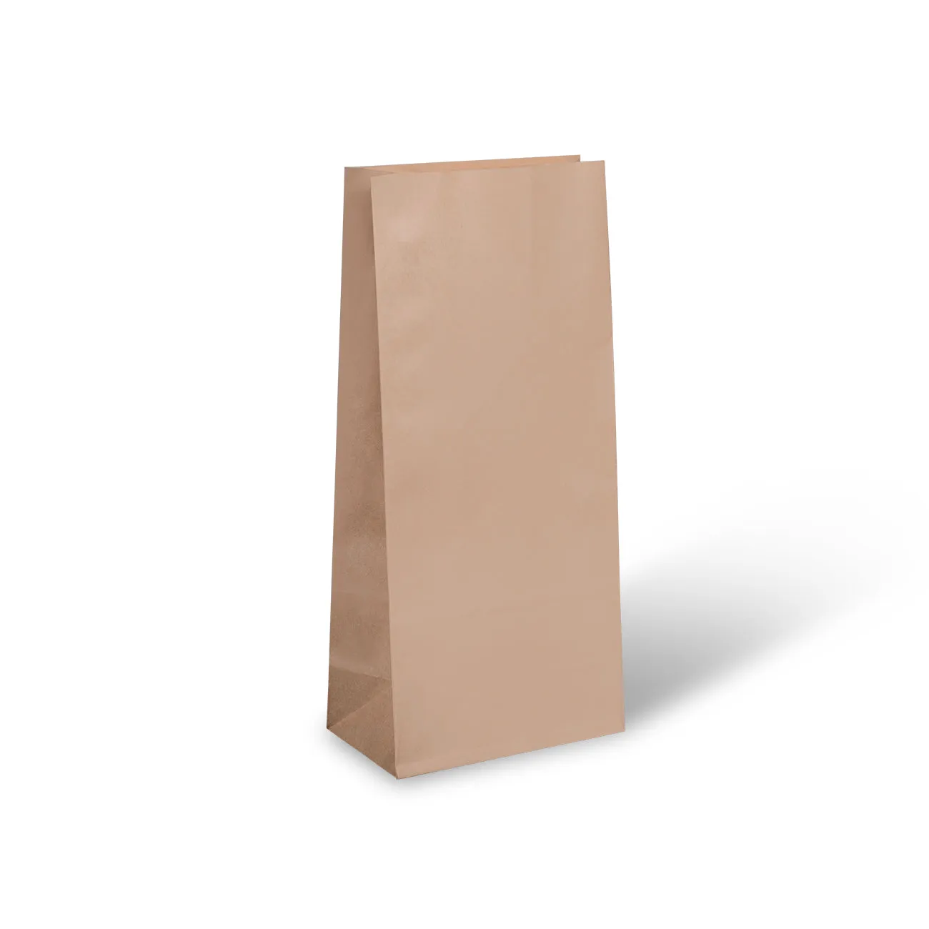 Kraft Brown Paper Party Bag 22cm x 10cm - Individual