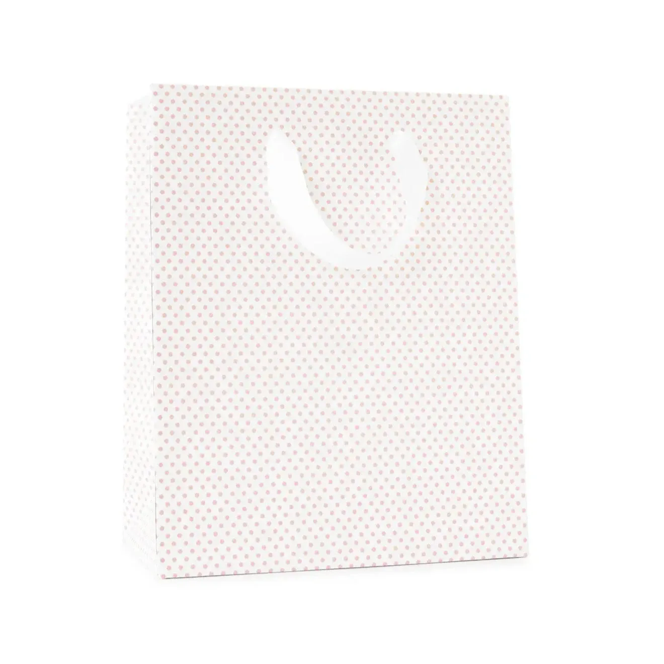 Rose Dot Gift Bag